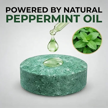Peppermint Oil Pest Repellent